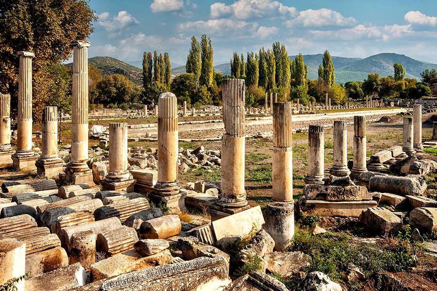 Ephesus Pamukkale and Aphrodisias Tour from Fethiye